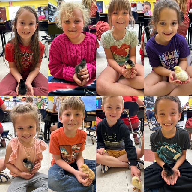 1st Grade Chicken Farmers