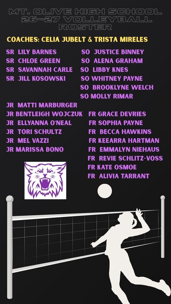 HS Volleyball