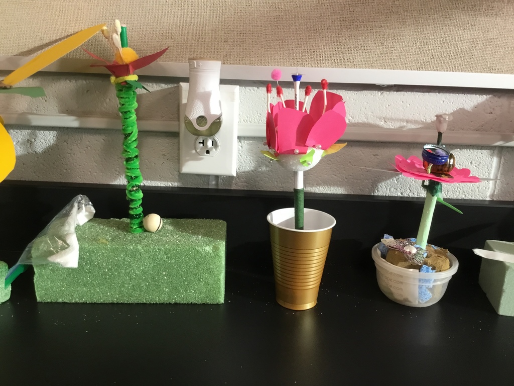 Polliination Project