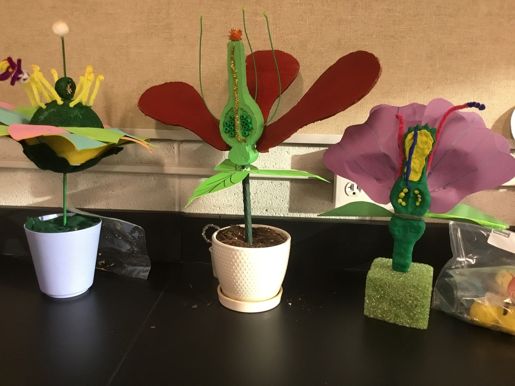 Polliination Project