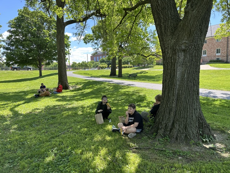 Lunch at Fairview Park