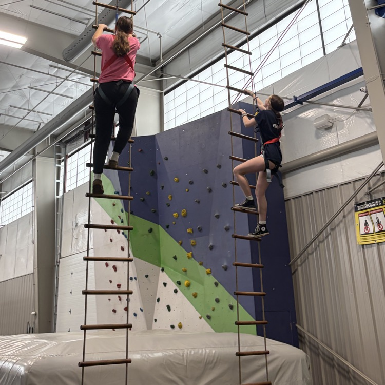 climbing ropes ladders
