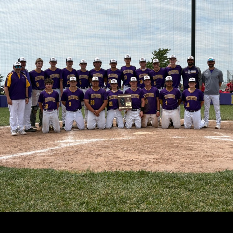 baseball regional champs