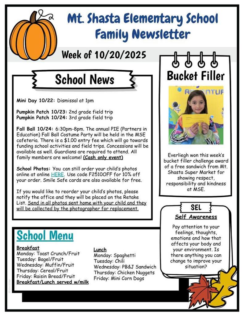 MSE Newsletter
