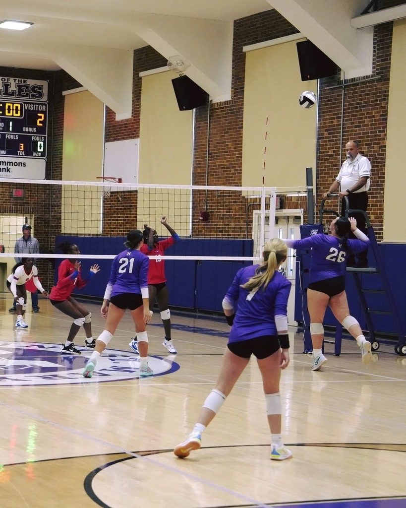 action shot of volleyball game