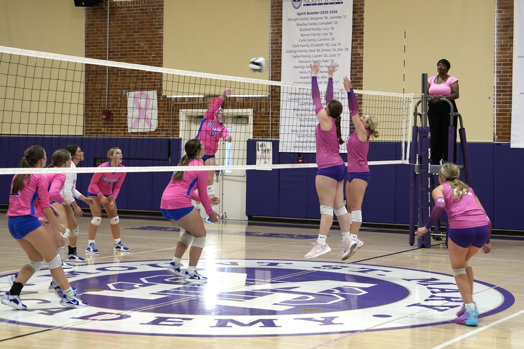Pink out volleyball game and fans