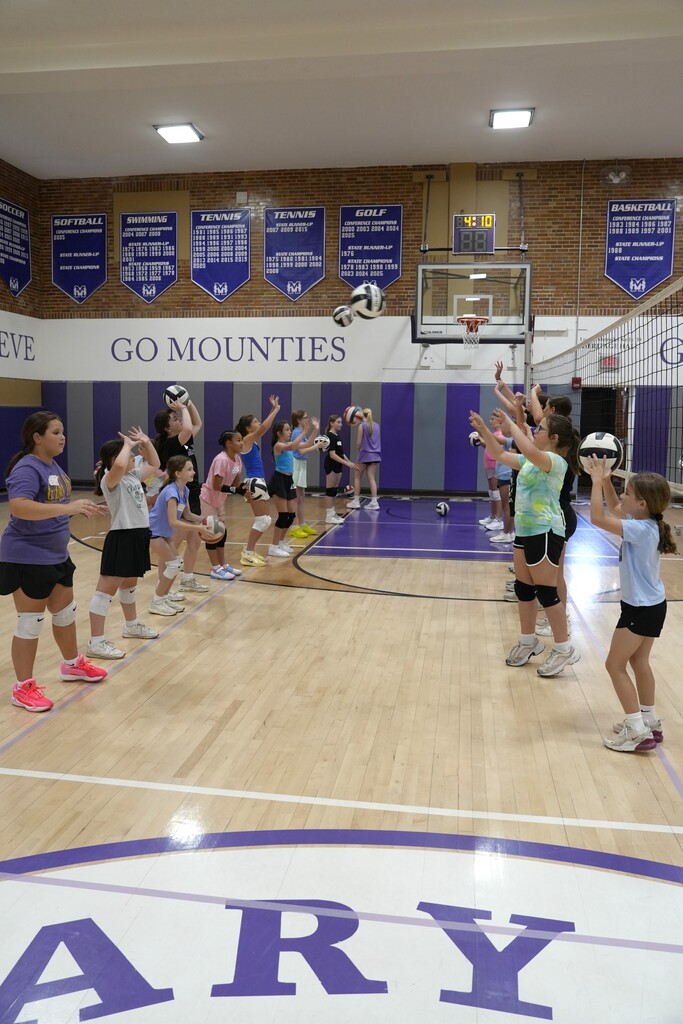 VOLLEYBALL