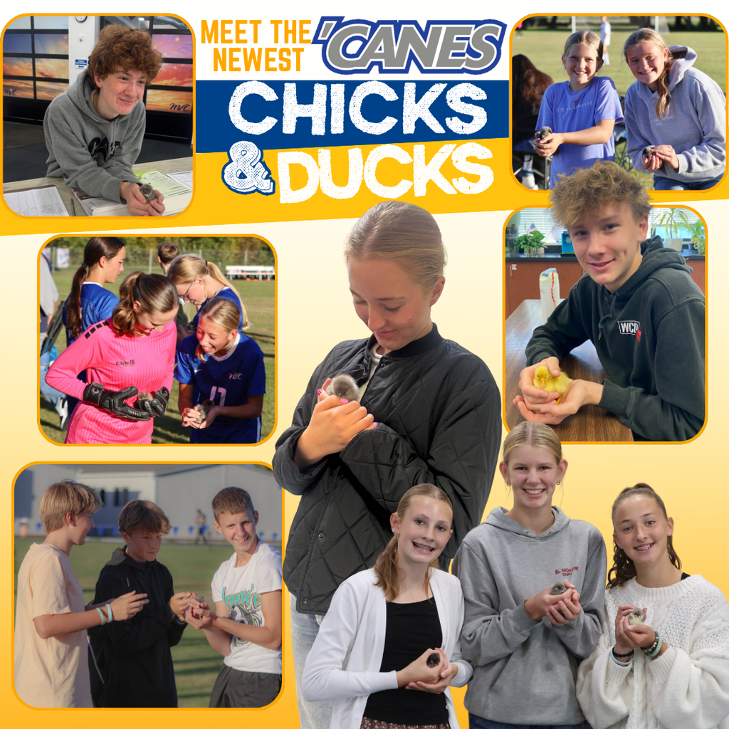 CHICKS