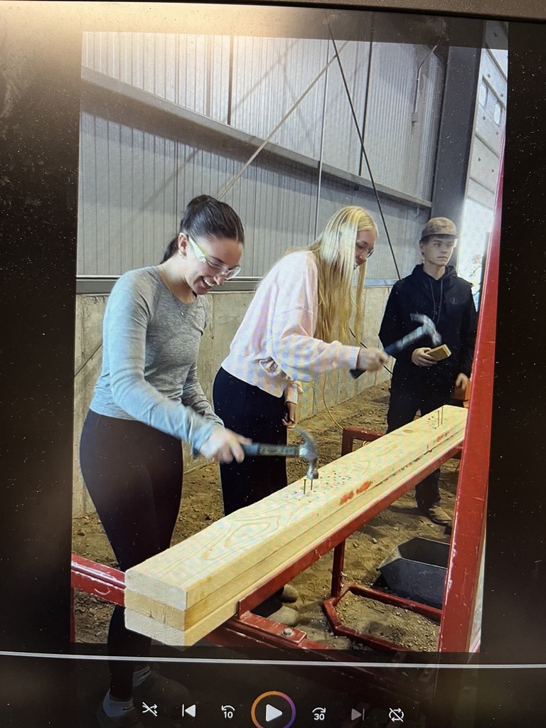Hammering away for candy #2