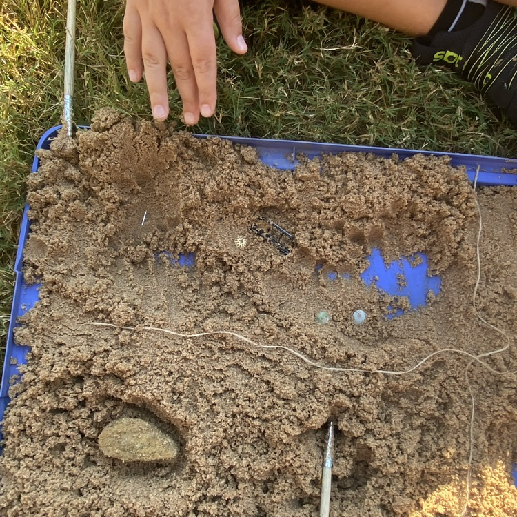 Fifth grade “paleontologists” went on a “fossil dig” today. 