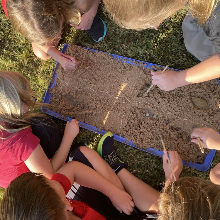 dig