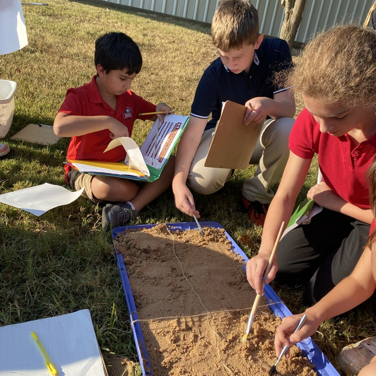 dig
