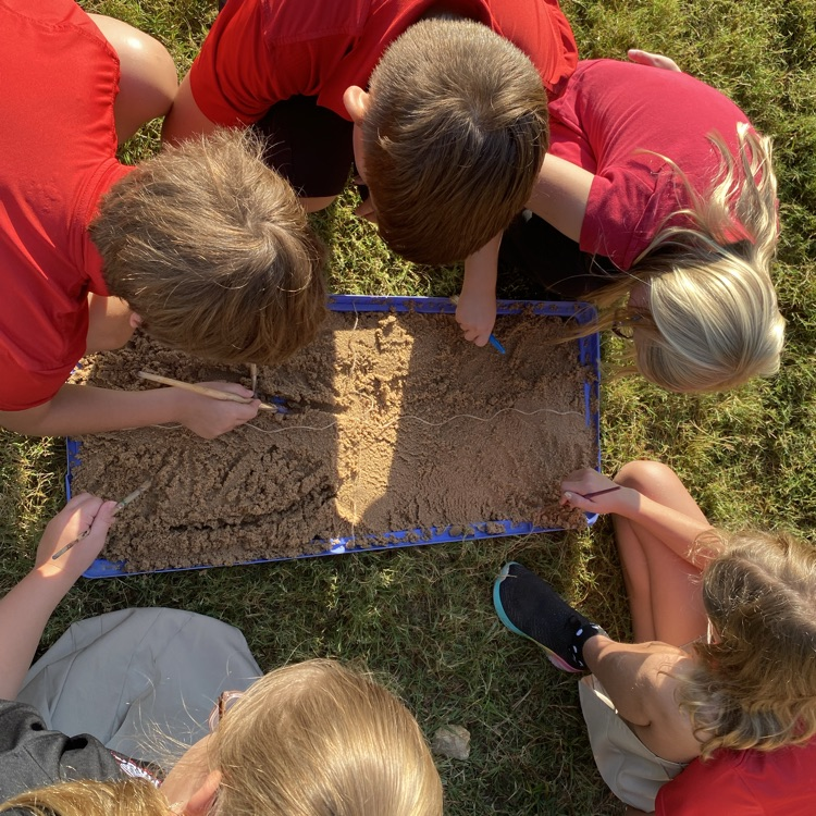 dig