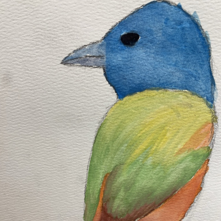 birds