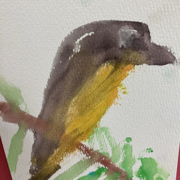 birds