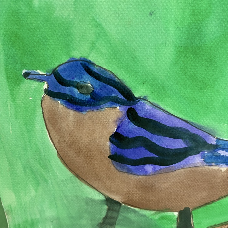  birds