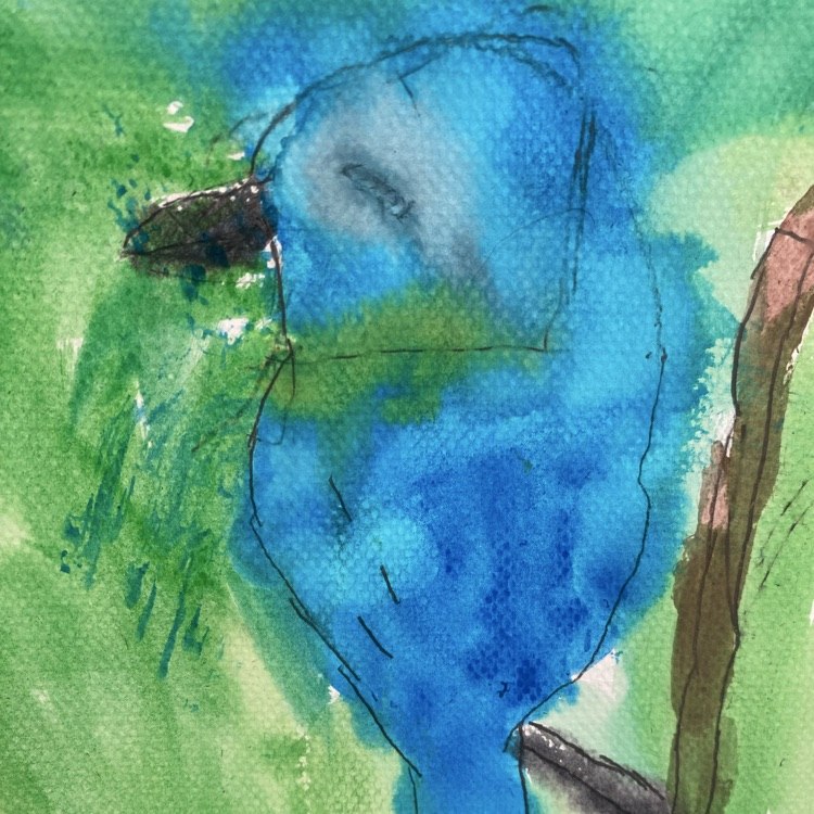 birds