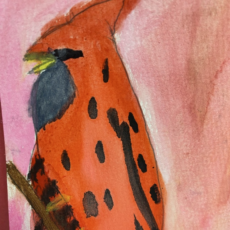 birds