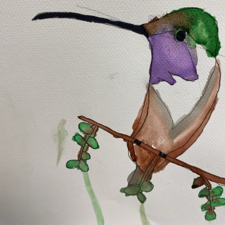 birds