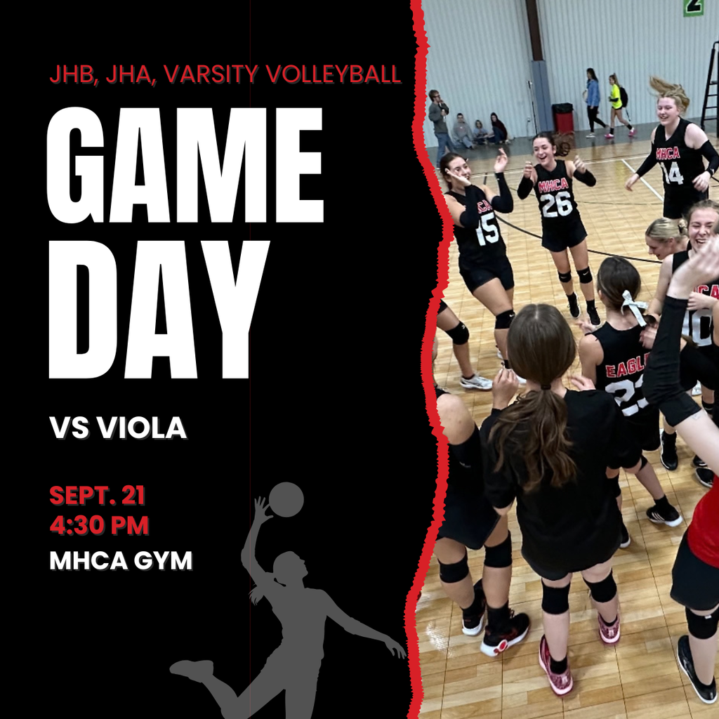 volleyball home game post