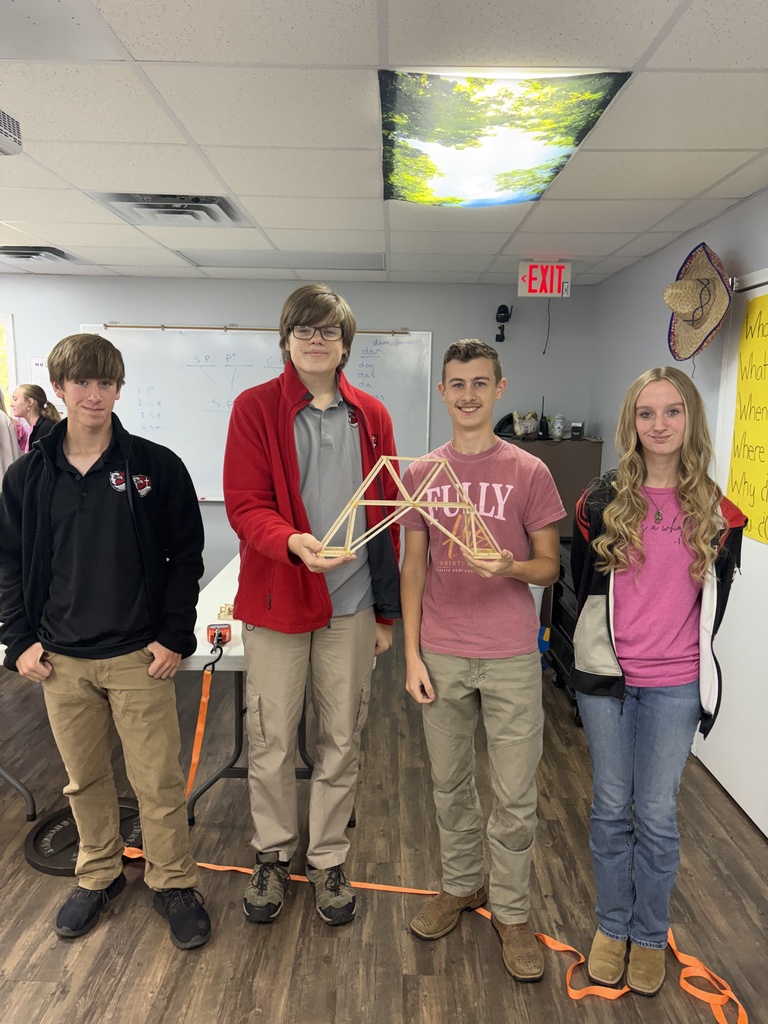 Balsa Wood