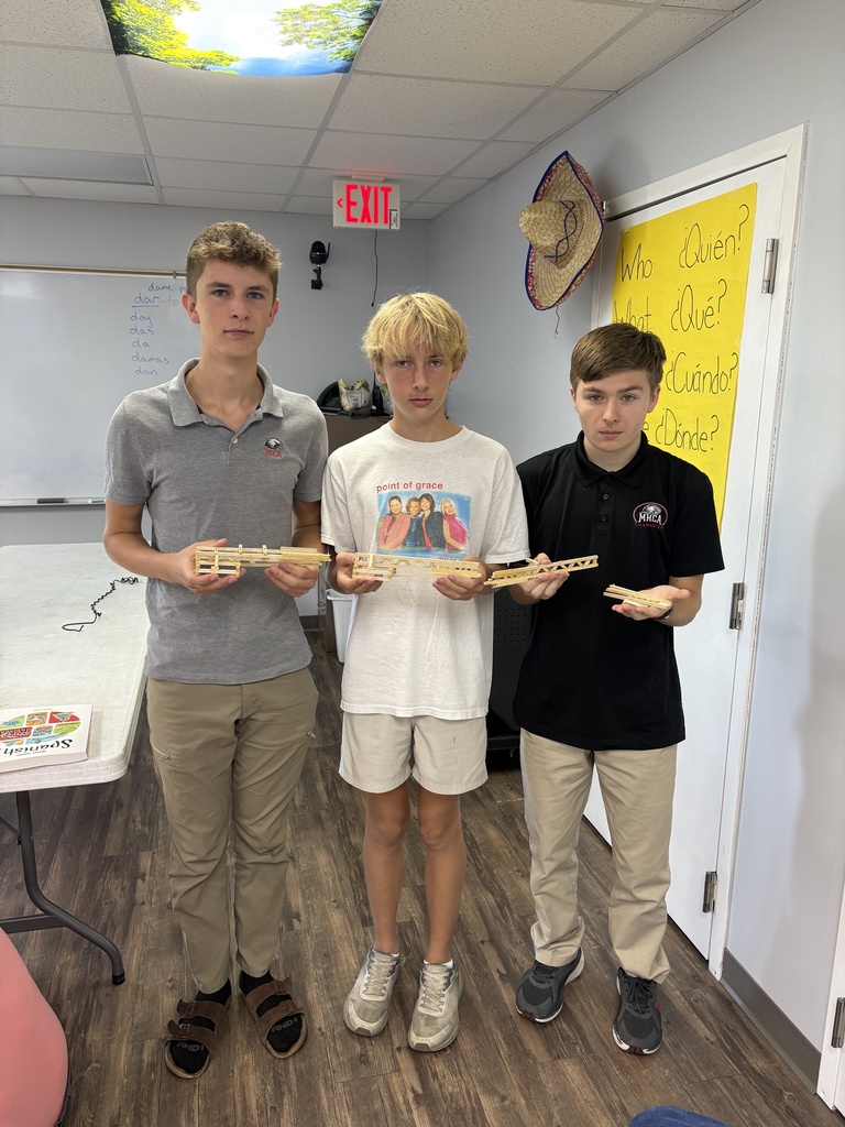 Balsa Wood