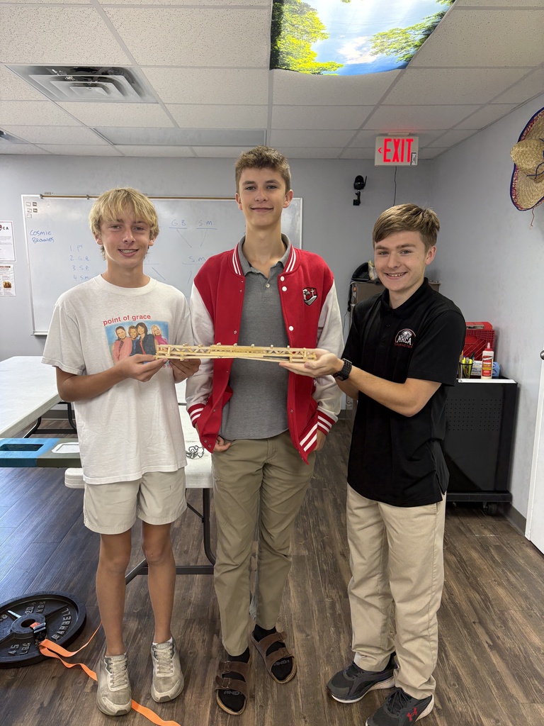 Balsa Wood