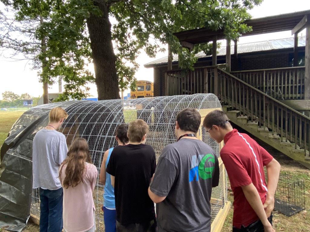 kids with coop
