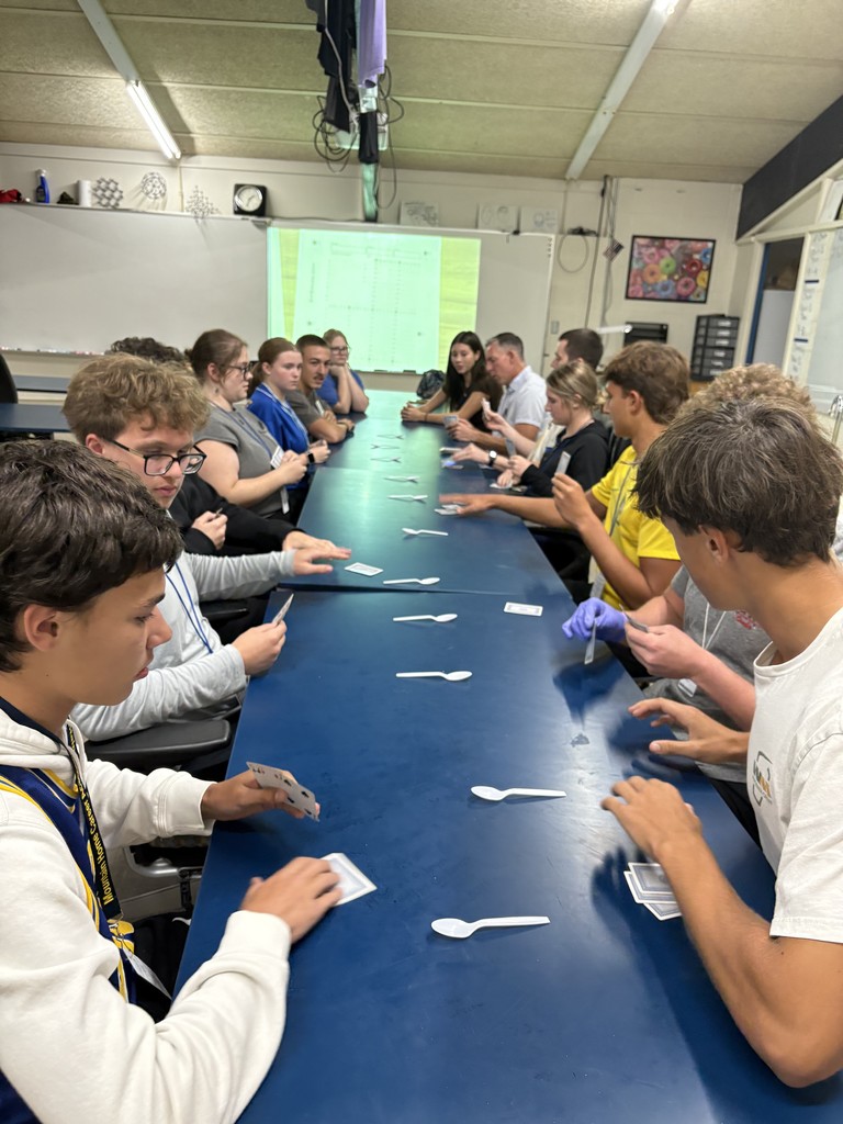 playing cards