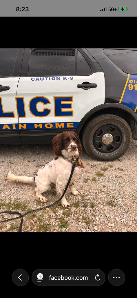 Leo, MHPS K9 Unit