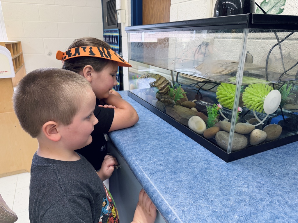 Students at Nelson Wilks Herron School on Open House
