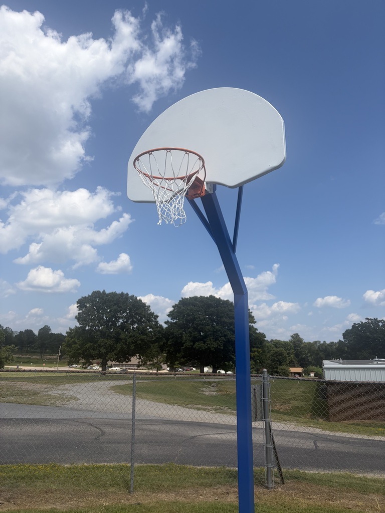 New basketball net outdoor court Nelson Wilks Herron