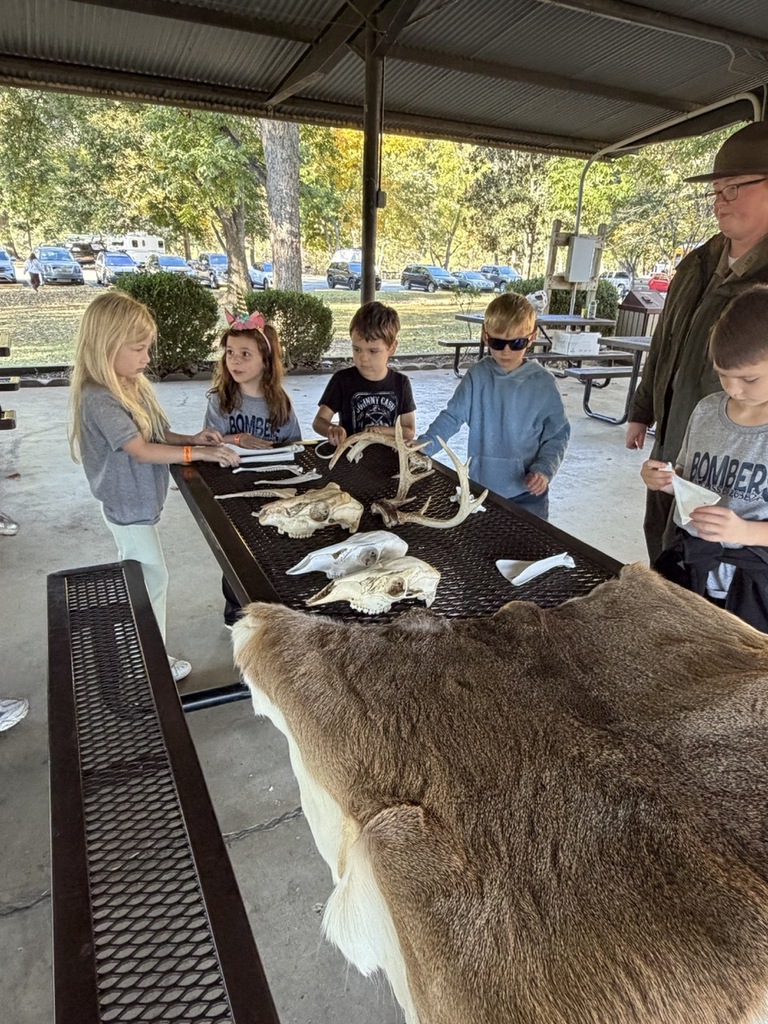 NHW students at the state park looking at pelts