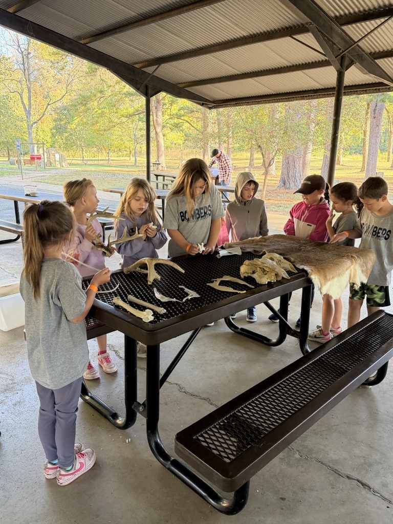 NHW students at the state park looking at antlers and pelts