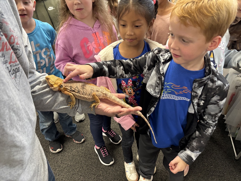 Public Library Visit