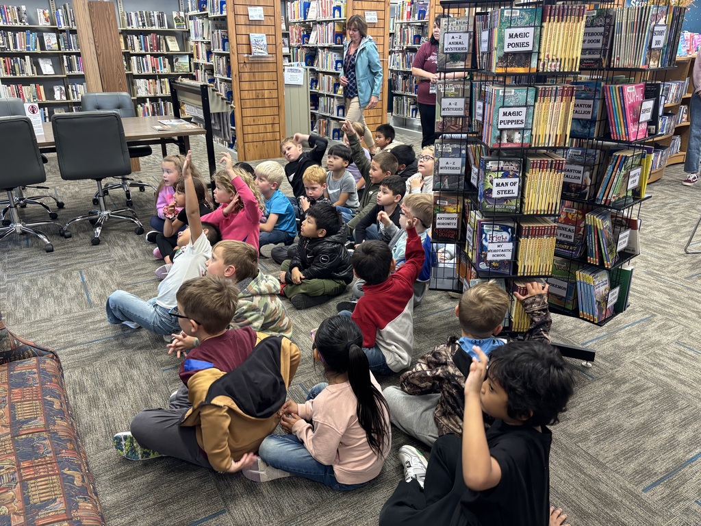 Public Library Visit