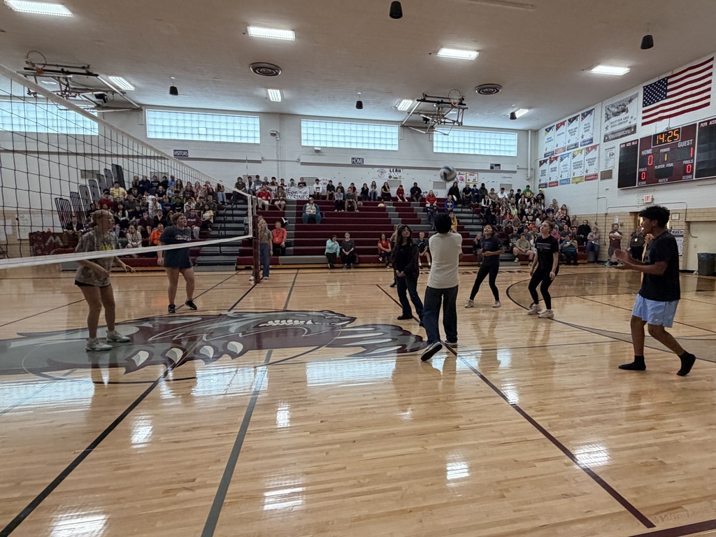 Volleyball tournament