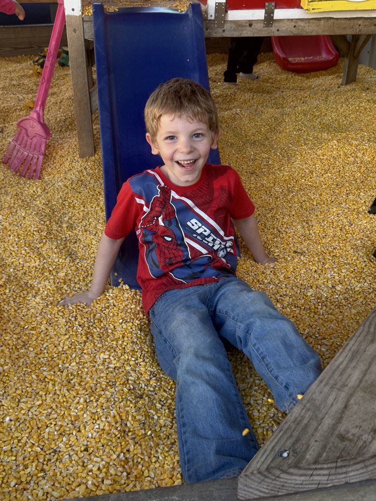 kindergarten field trip 