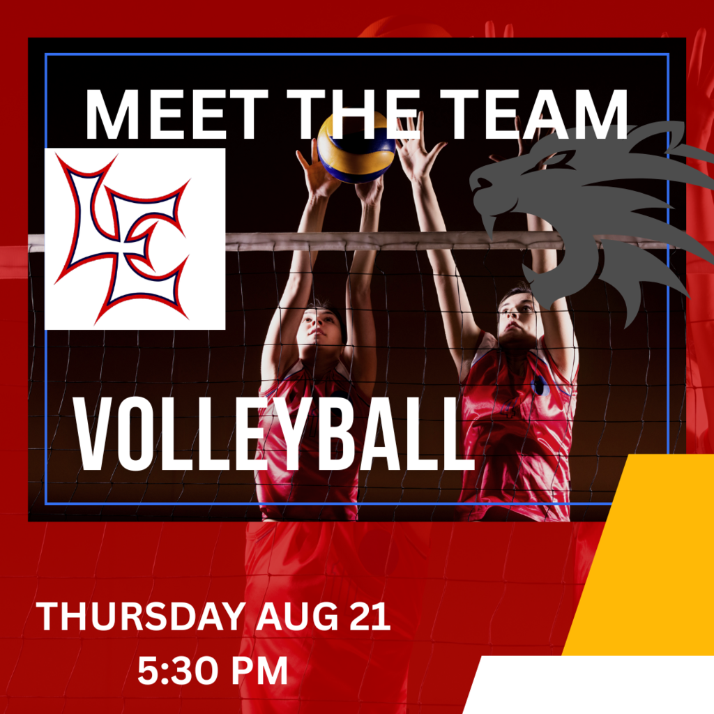meet the team