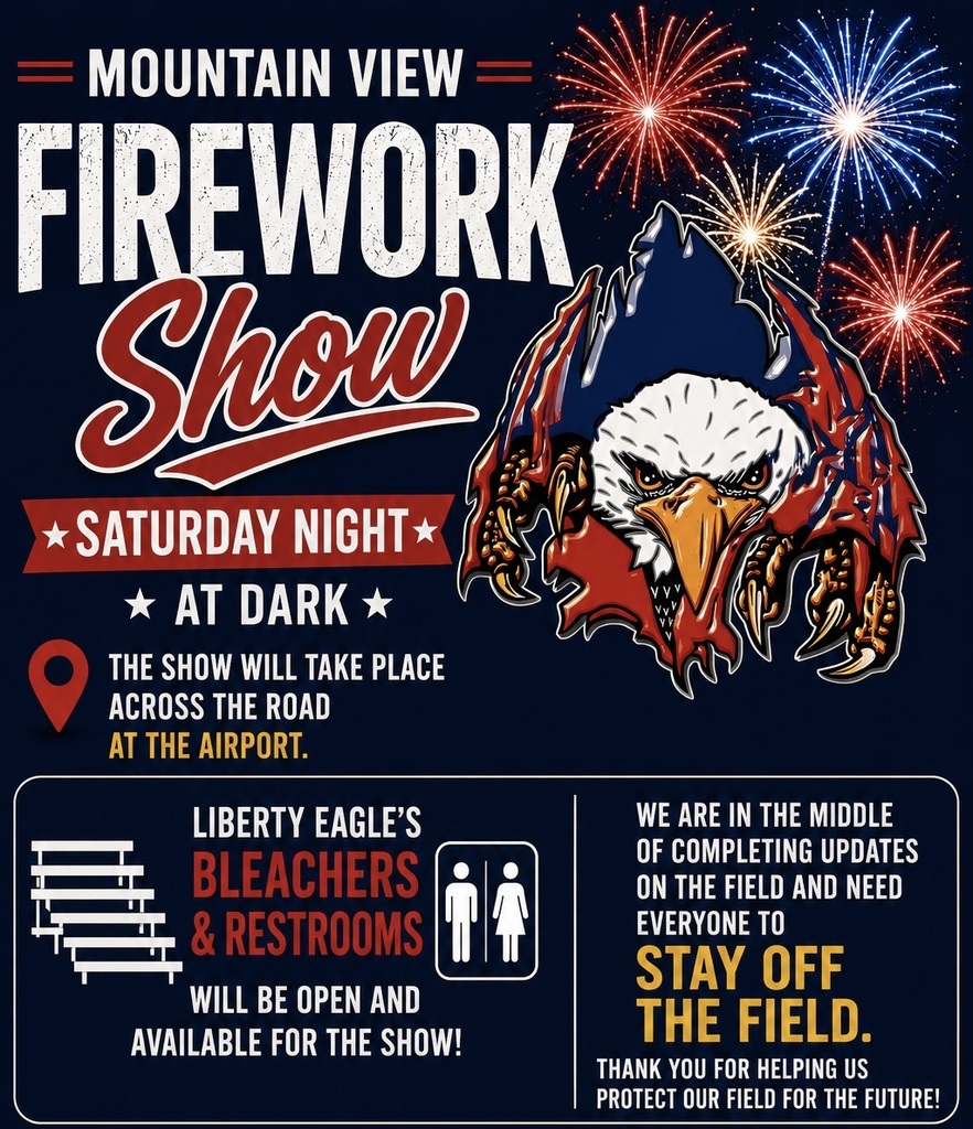 Fireworks show