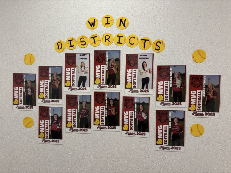 lady tigers
