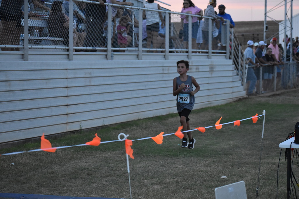 Elem XC