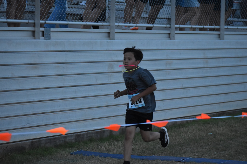 Elem XC