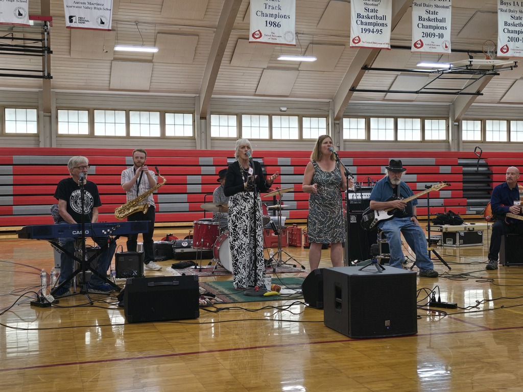 Blues in the Schools