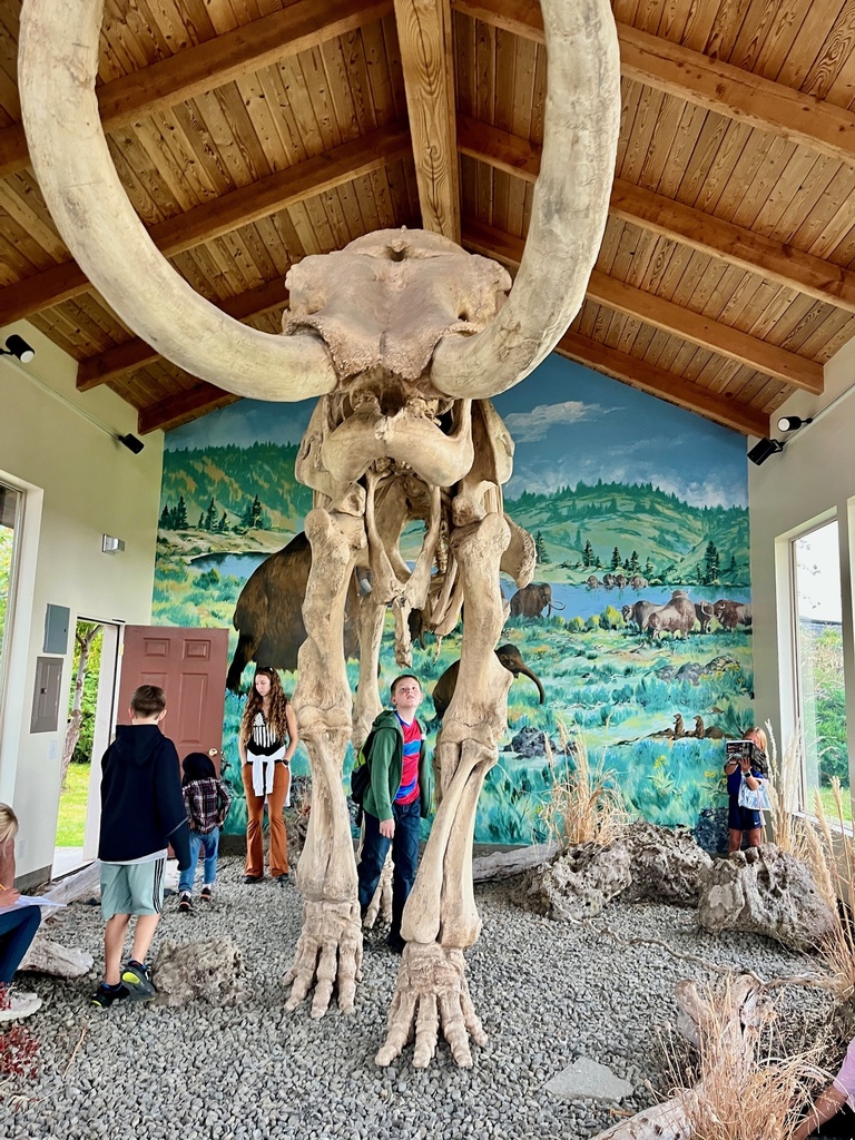 Field Trip