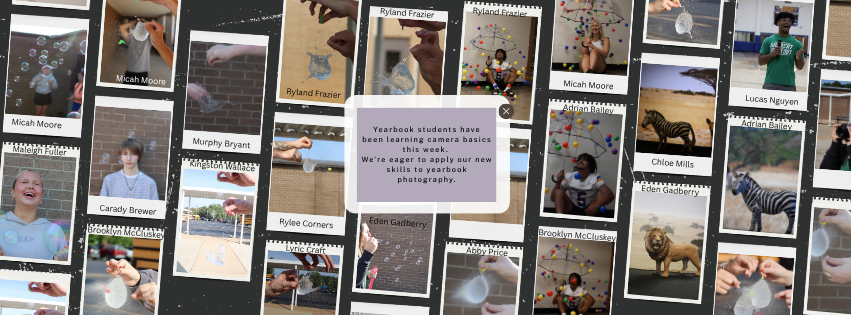 Yearbook