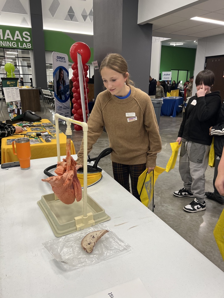 Learning about respiratory therapy by blowing air into a pigs lung