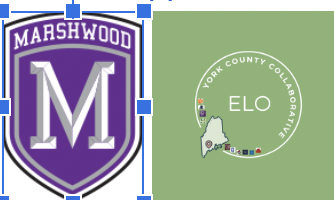 Great News from Marshwood’s Extended Learning Opportunties (ELO)