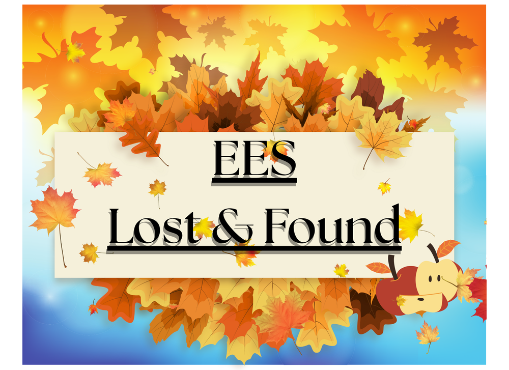 EES Lost and Found