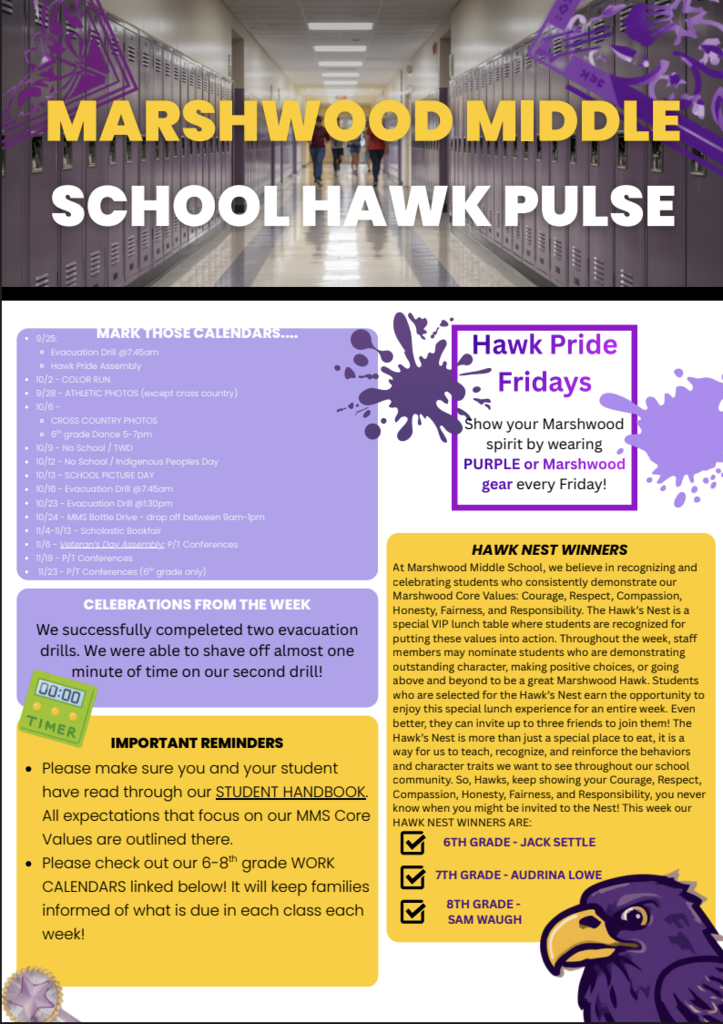 MMS Hawk Pulse